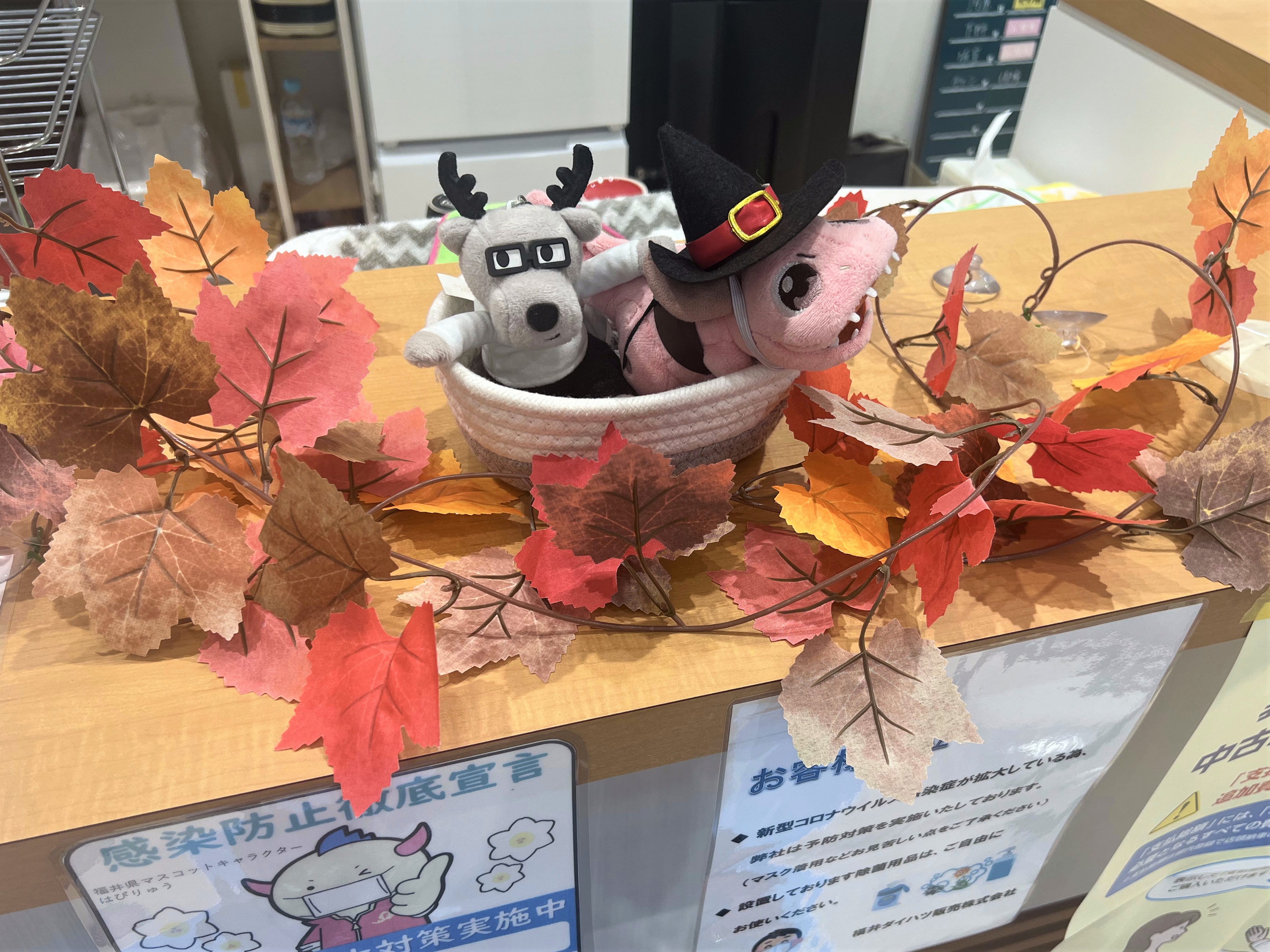 ハロウィン🎃